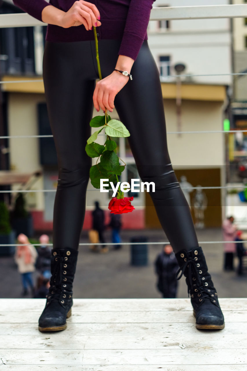 Low section of woman holding rose flower upside down standing outdoors