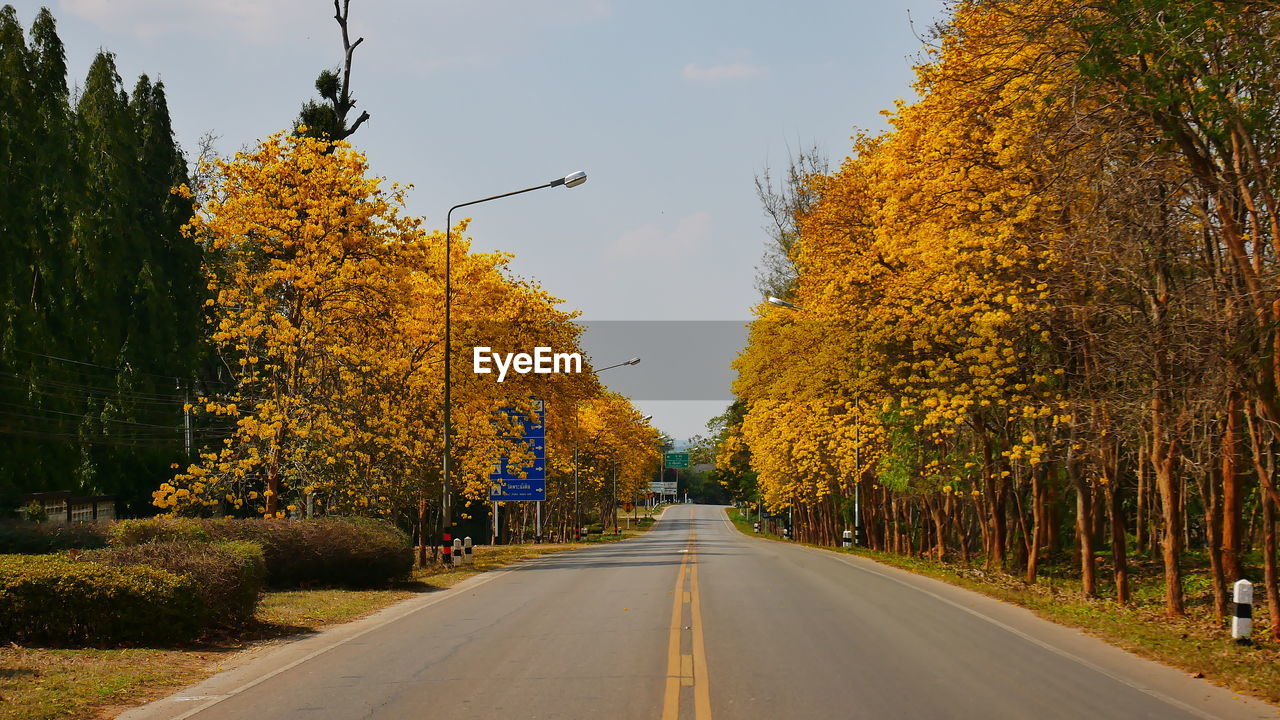 Street amidst trees against sky during autumn