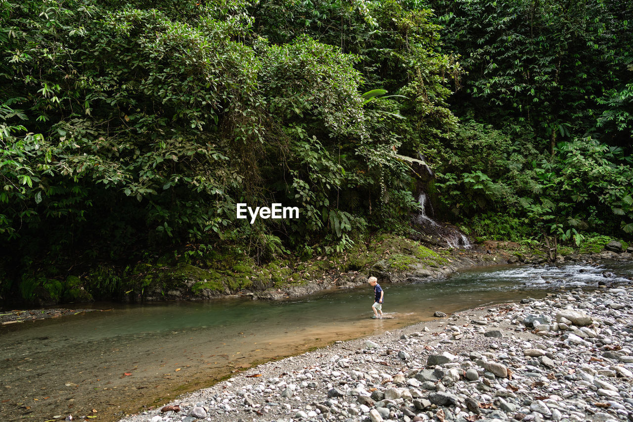 Child walking in river in rain forest of costa rica