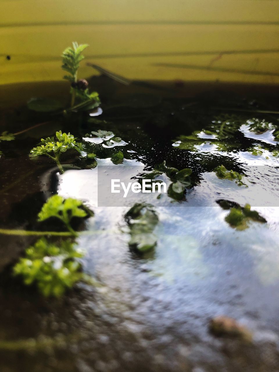 HIGH ANGLE VIEW OF WATER FLOWING IN CONTAINER