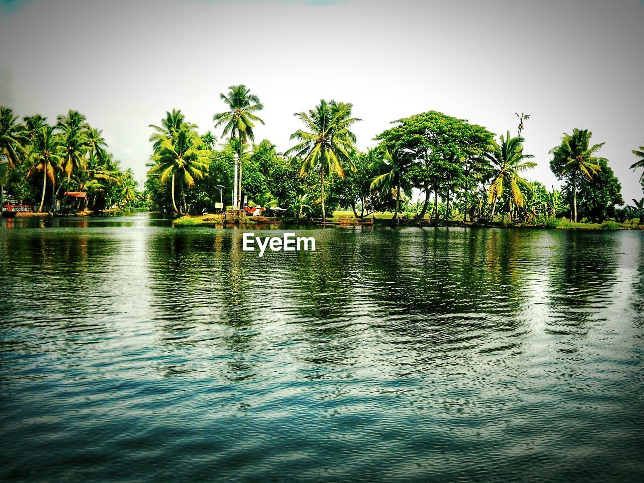 Scenic view of river by trees against sky