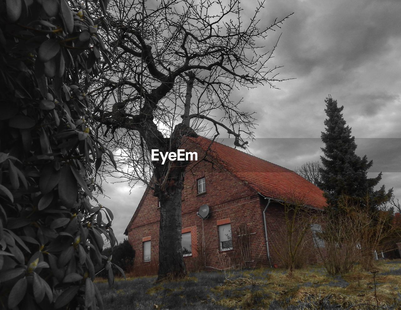 LOW ANGLE VIEW OF HOUSE AGAINST SKY