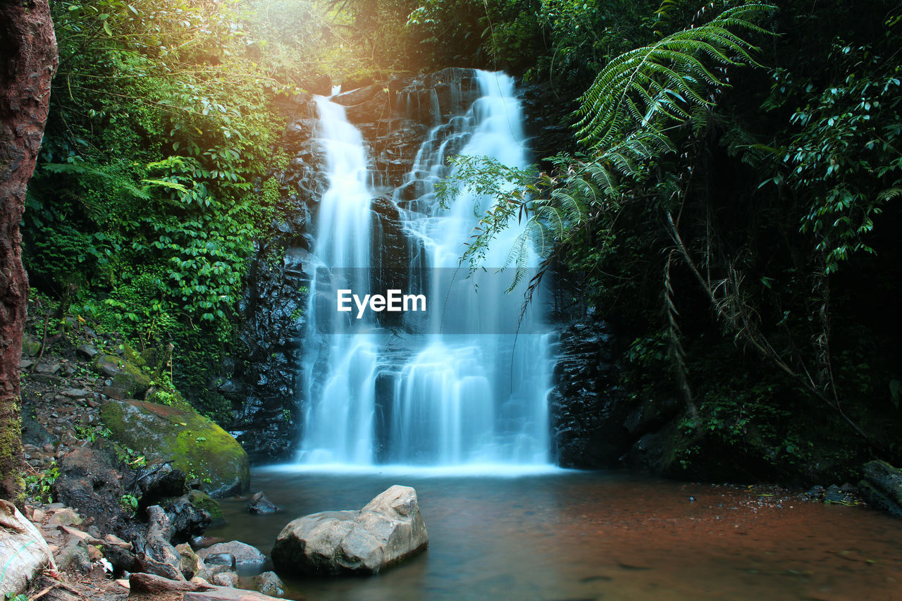 SCENIC VIEW OF WATERFALL