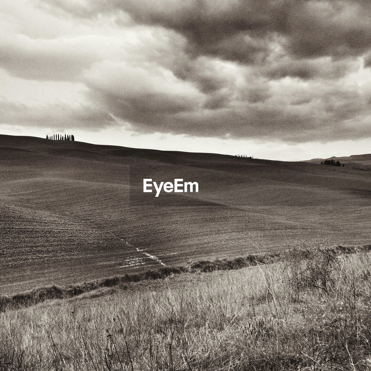 SCENIC VIEW OF FARM AGAINST SKY