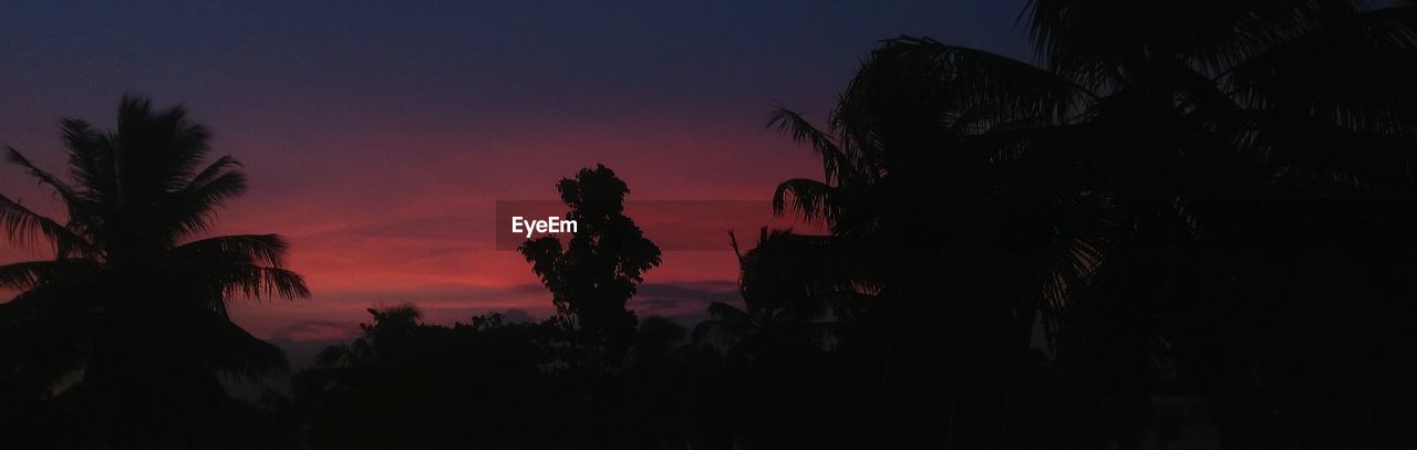 LOW ANGLE VIEW OF SILHOUETTE TREES AGAINST SKY AT DUSK