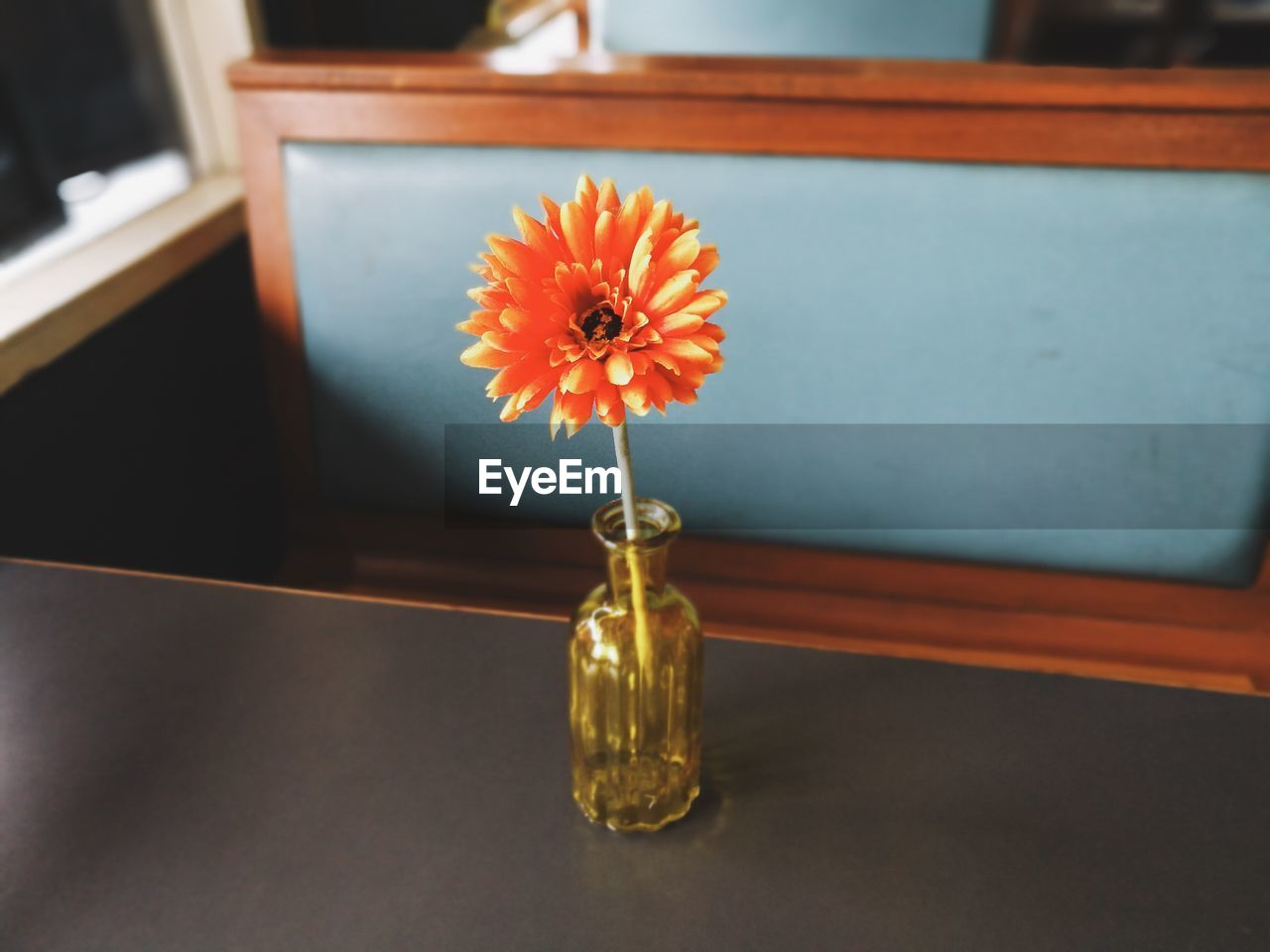 CLOSE-UP OF VASE ON TABLE