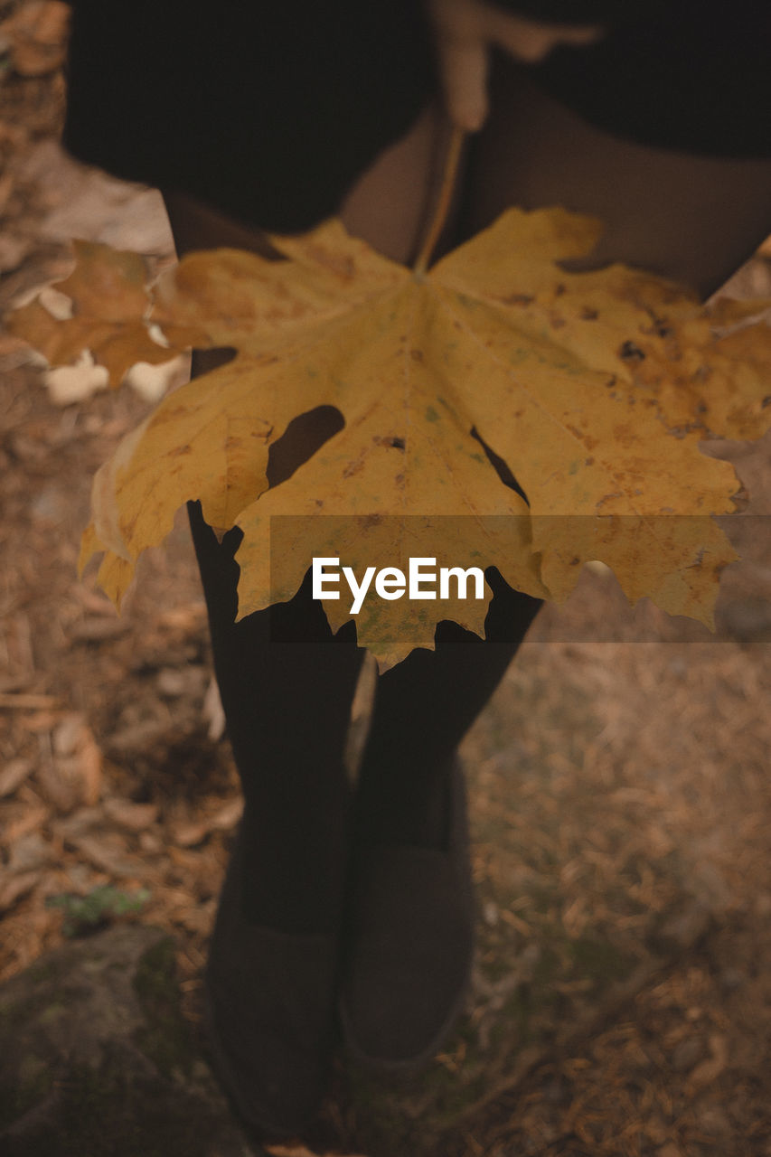 Low section of woman holding dry leaf standing outdoors