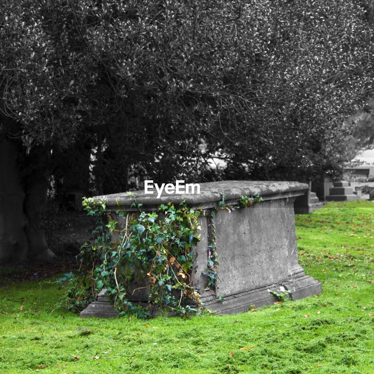 BUILT STRUCTURE ON GRASSY FIELD AGAINST PLANTS