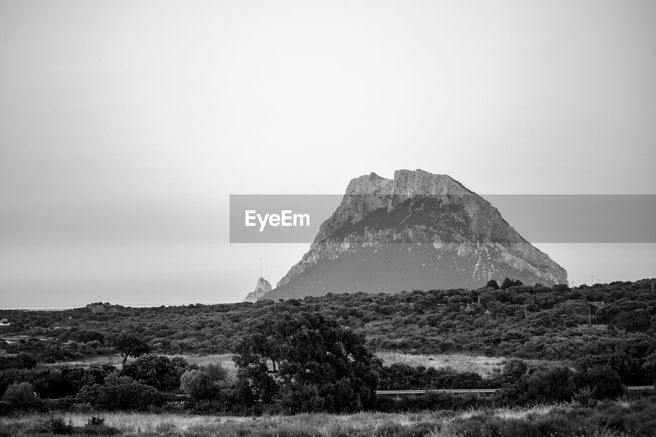 Scenic view of field against clear sky