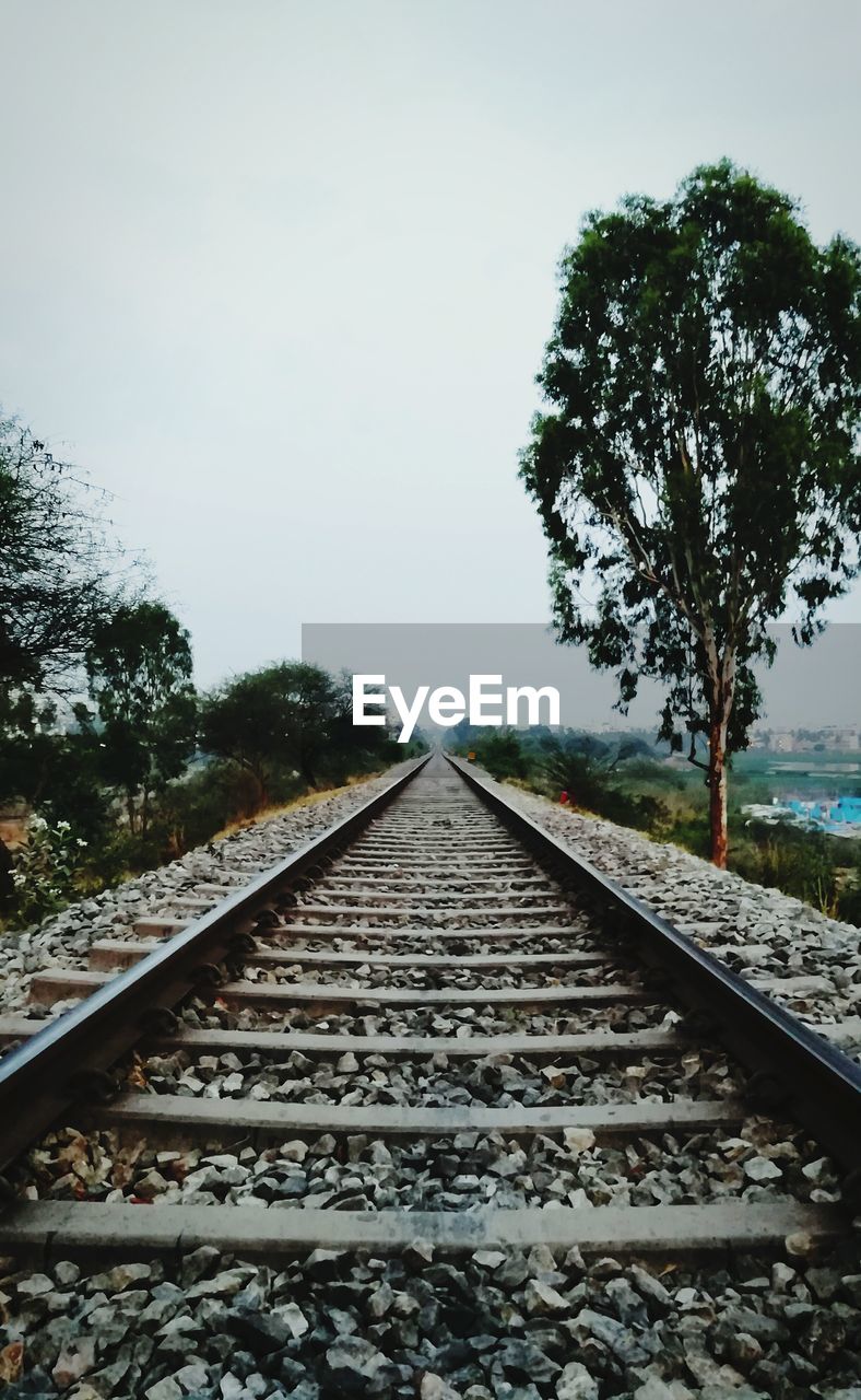 RAILROAD TRACK BY TREES AGAINST SKY