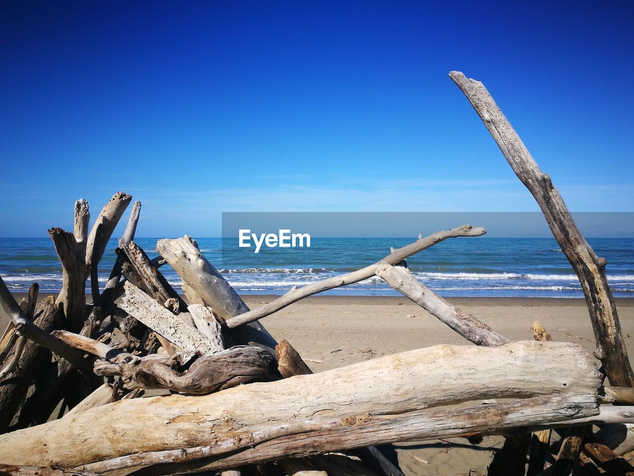Driftwood on beach against blue sky