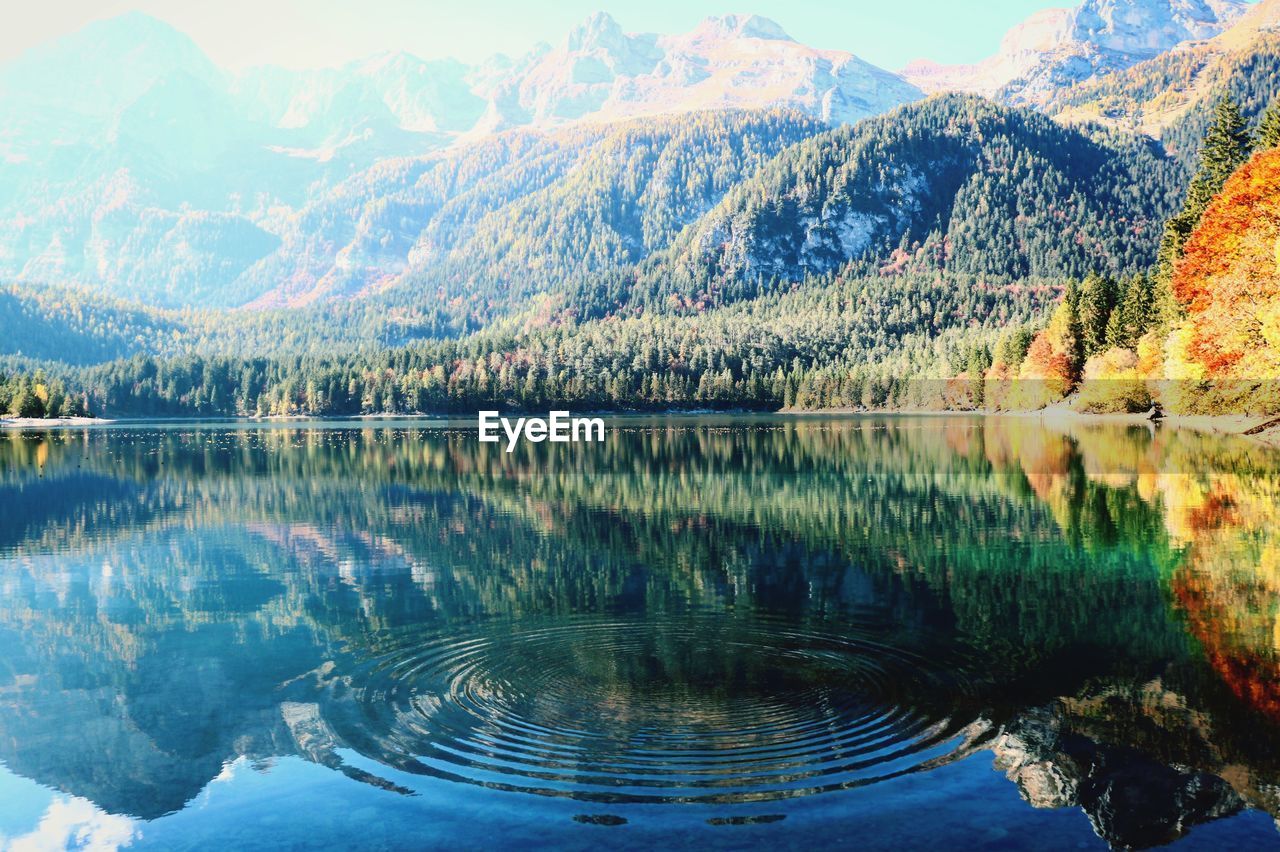 Scenic view of lake and mountains