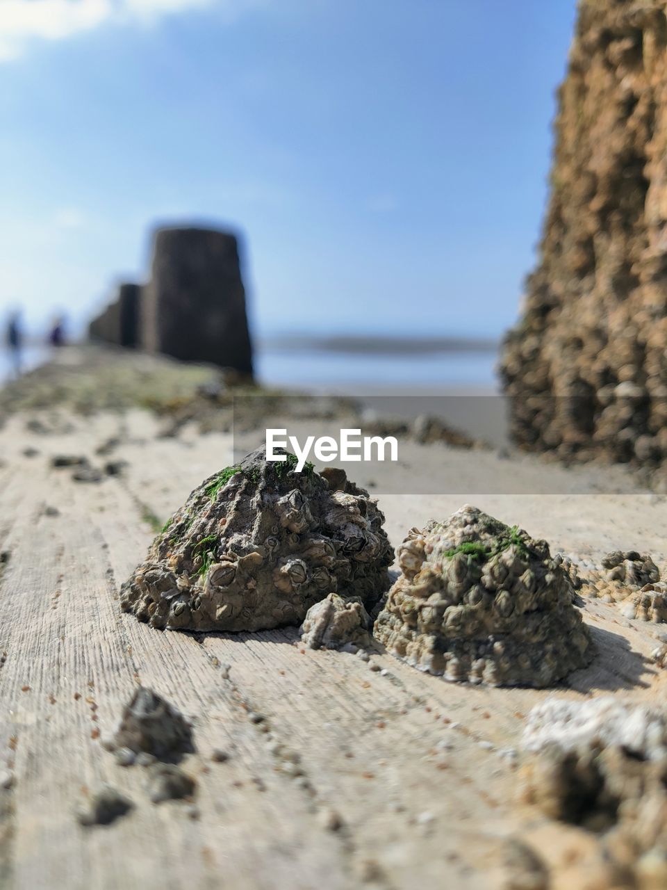 SURFACE LEVEL OF ROCKS ON BEACH