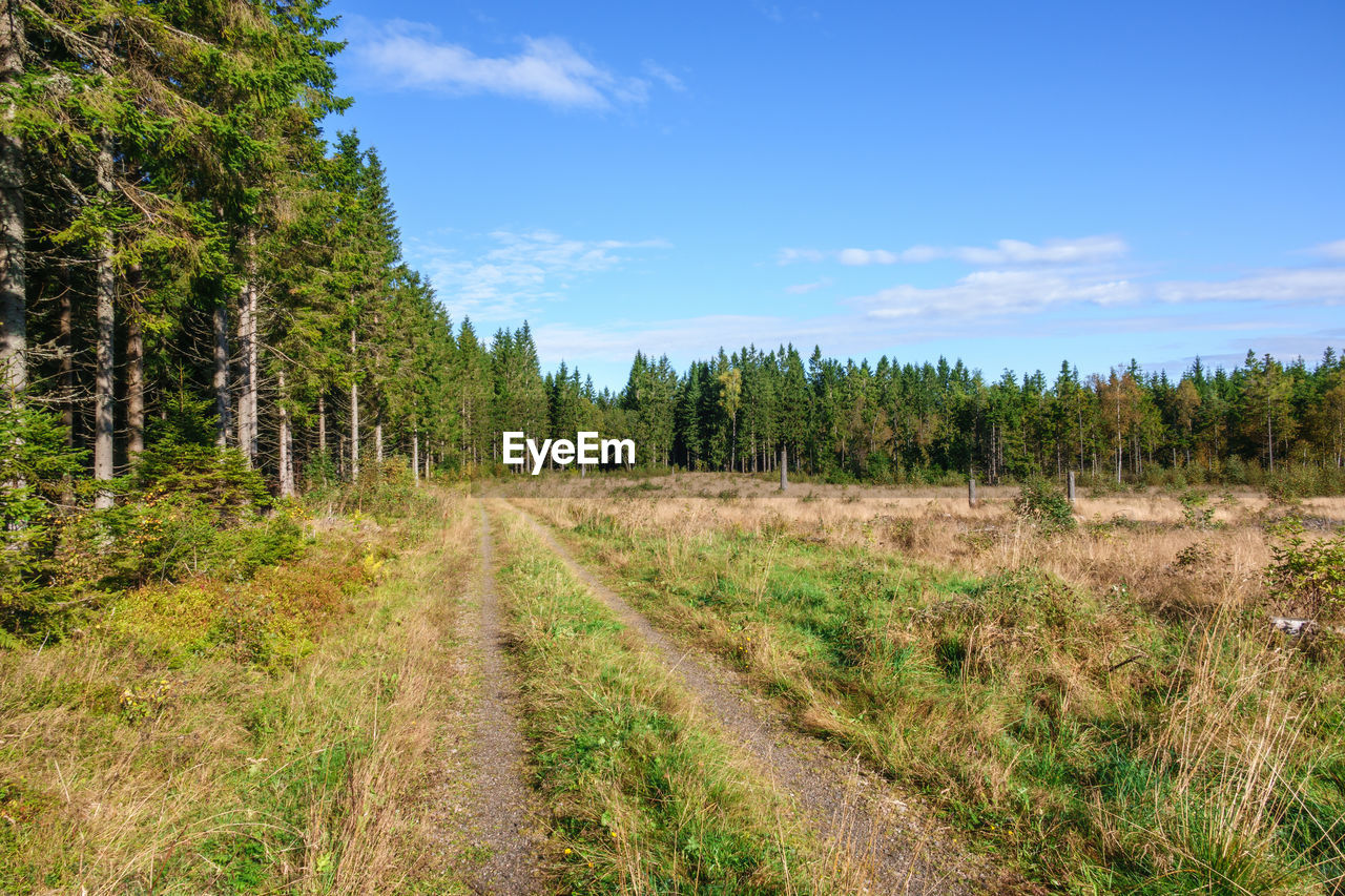 SCENIC VIEW OF LAND AGAINST SKY