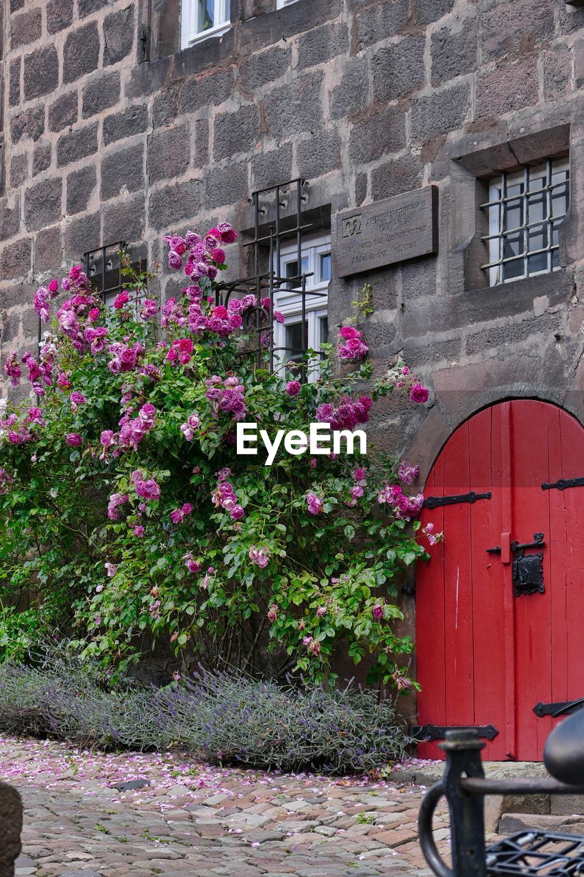 FLOWERS ON BUILDING