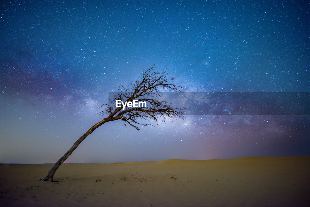 Photograph of milky-way in desert of the united arab emirates