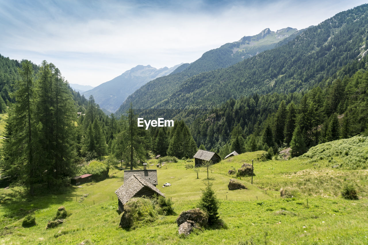 Valley in ticino in summer with barns and wooden huts and alps