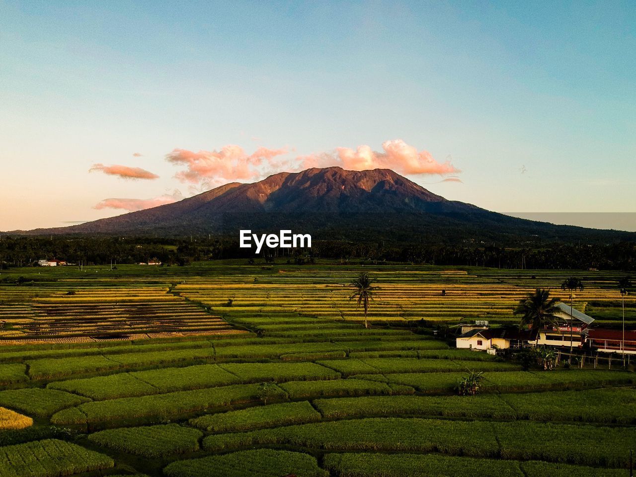 Scenic view of agricultural field against mountain and sky