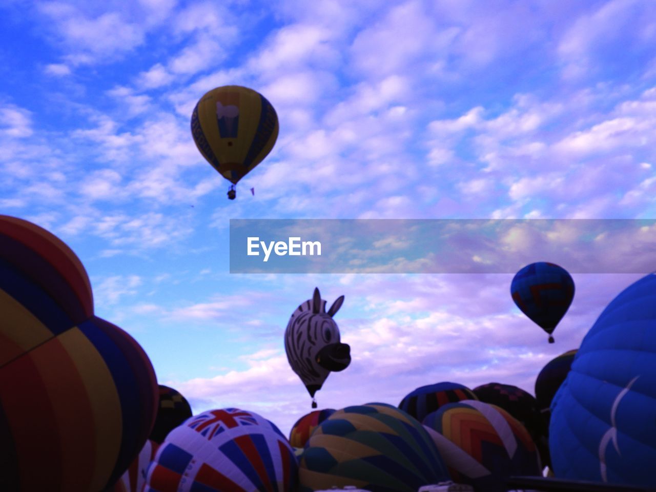 LOW ANGLE VIEW OF HOT AIR BALLOONS IN SKY