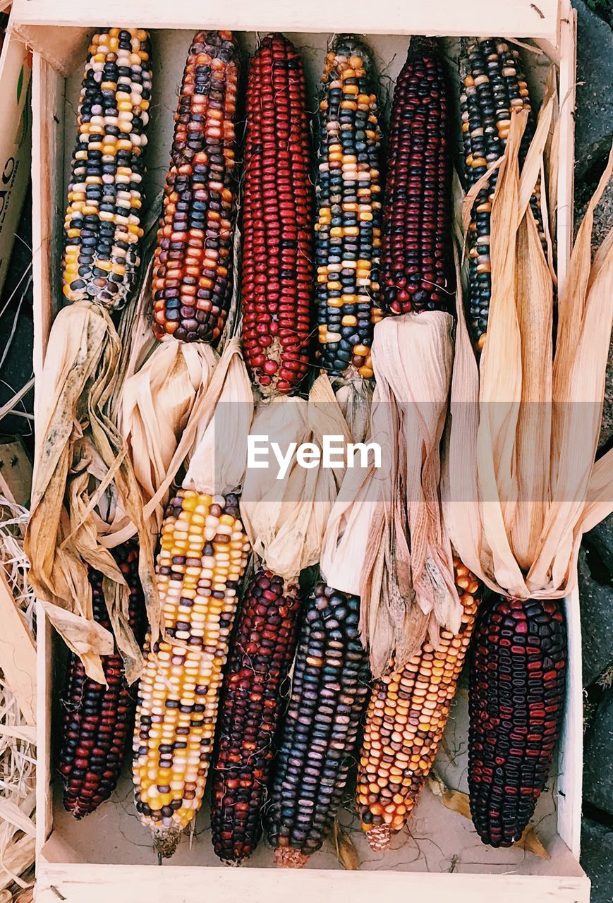 Close-up of corns 