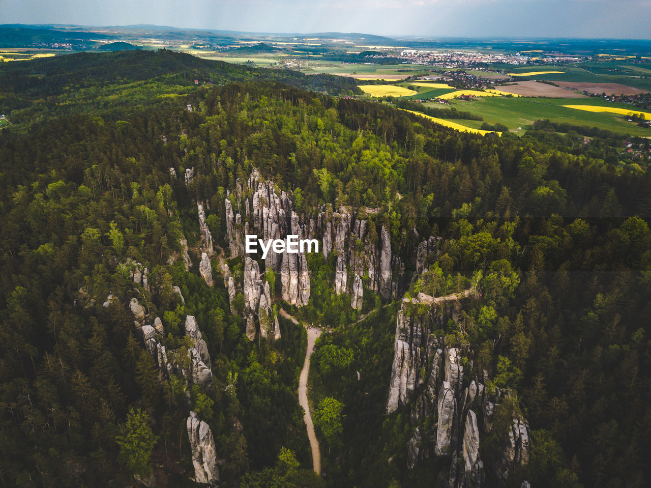 High angle view of trees on landscape