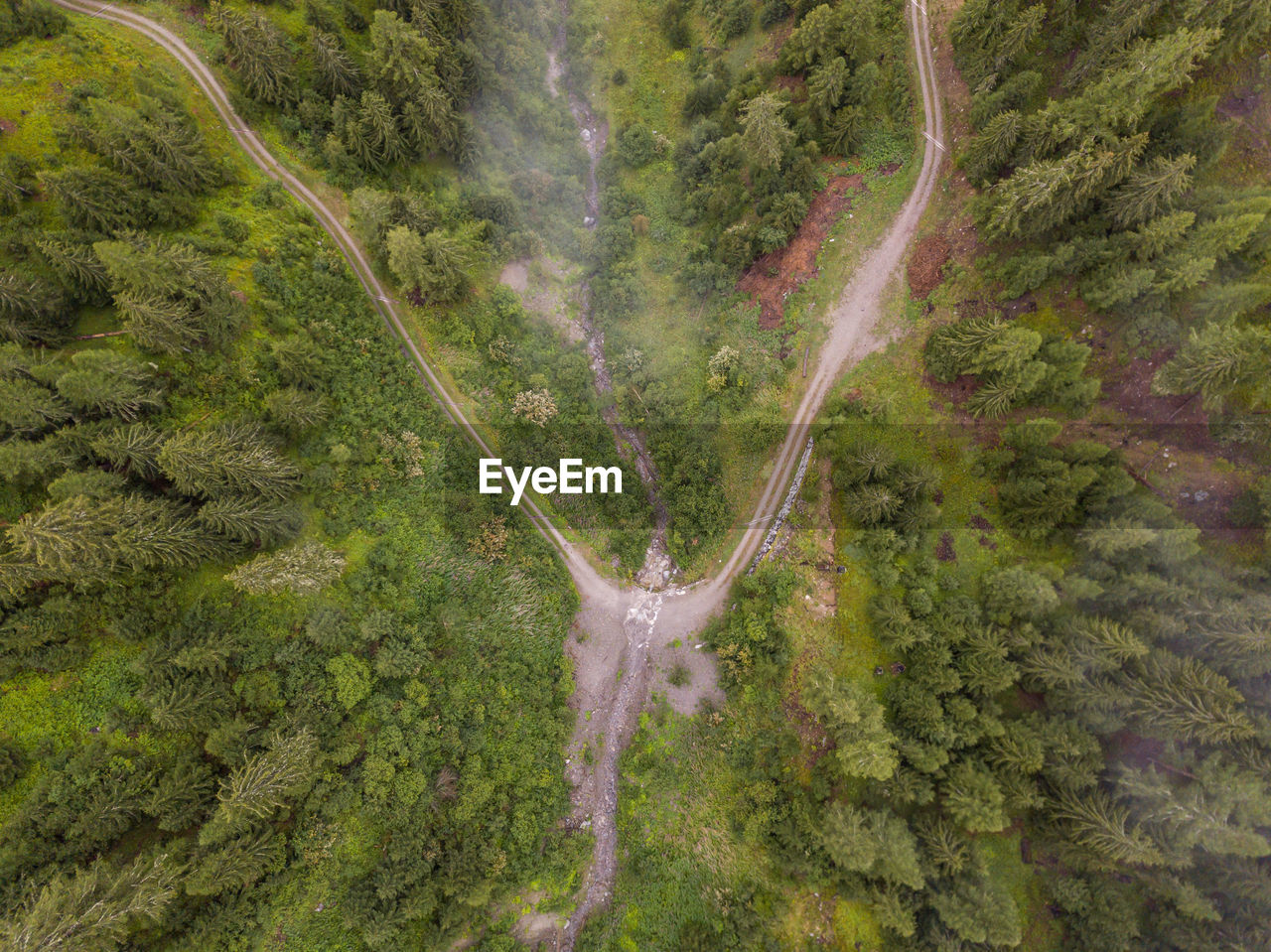 HIGH ANGLE VIEW OF WINDING ROAD AMIDST TREES