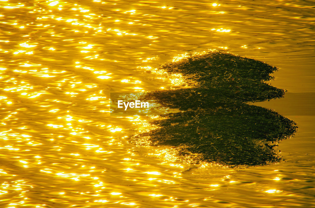 High angle view of sunlight falling on sea