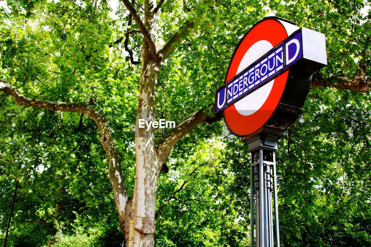 Low angle view of sign board next to tree