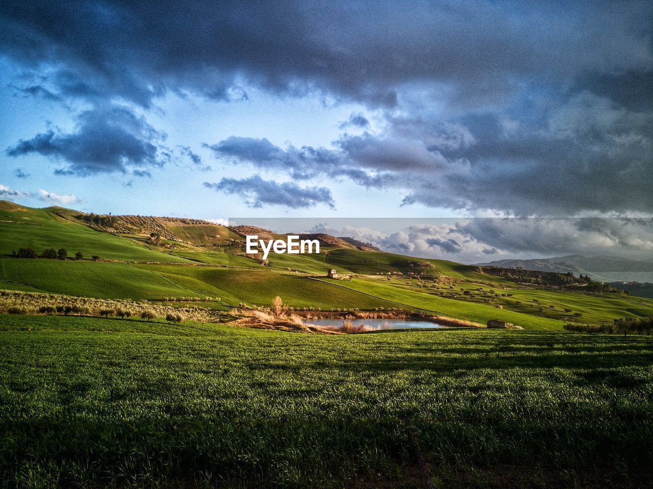 SCENIC VIEW OF FARM AGAINST SKY