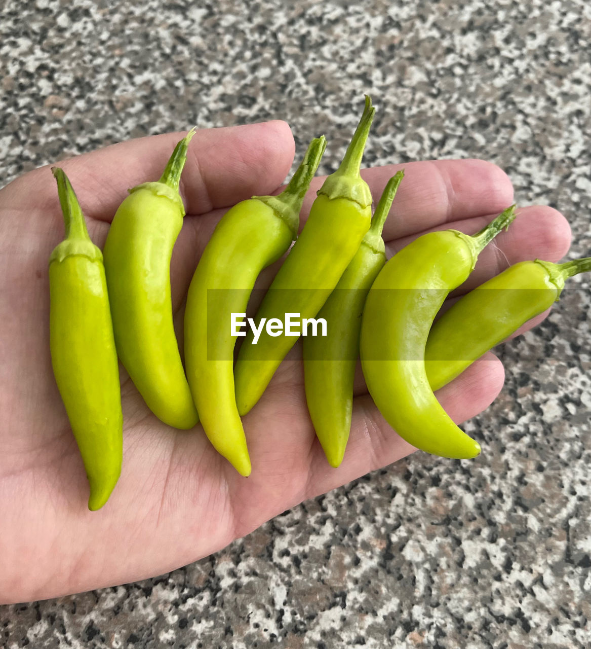 food and drink, food, healthy eating, produce, vegetable, freshness, wellbeing, hand, plant, high angle view, green, one person, day, holding, fruit, close-up, yellow, organic, chili pepper, raw food, outdoors