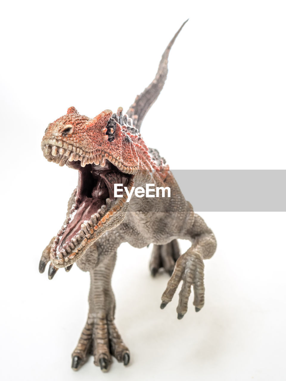 dinosaur, animal, animal themes, velociraptor, one animal, animal figure, white background, animal body part, studio shot, animal wildlife, cut out, indoors, no people, reptile, extinct, full length, anger, lizard