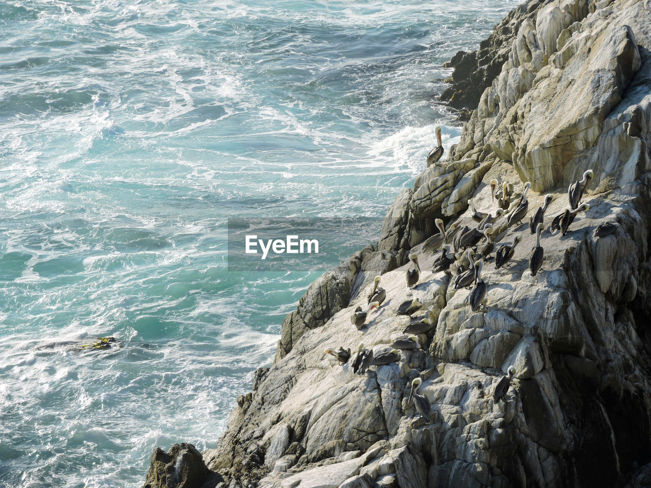 HIGH ANGLE VIEW OF ROCKS ON SHORE