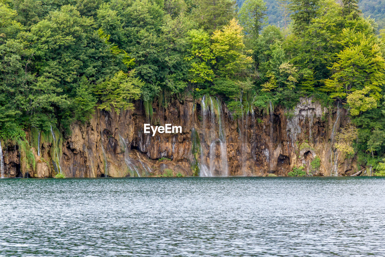 VIEW OF WATERFALL IN FOREST