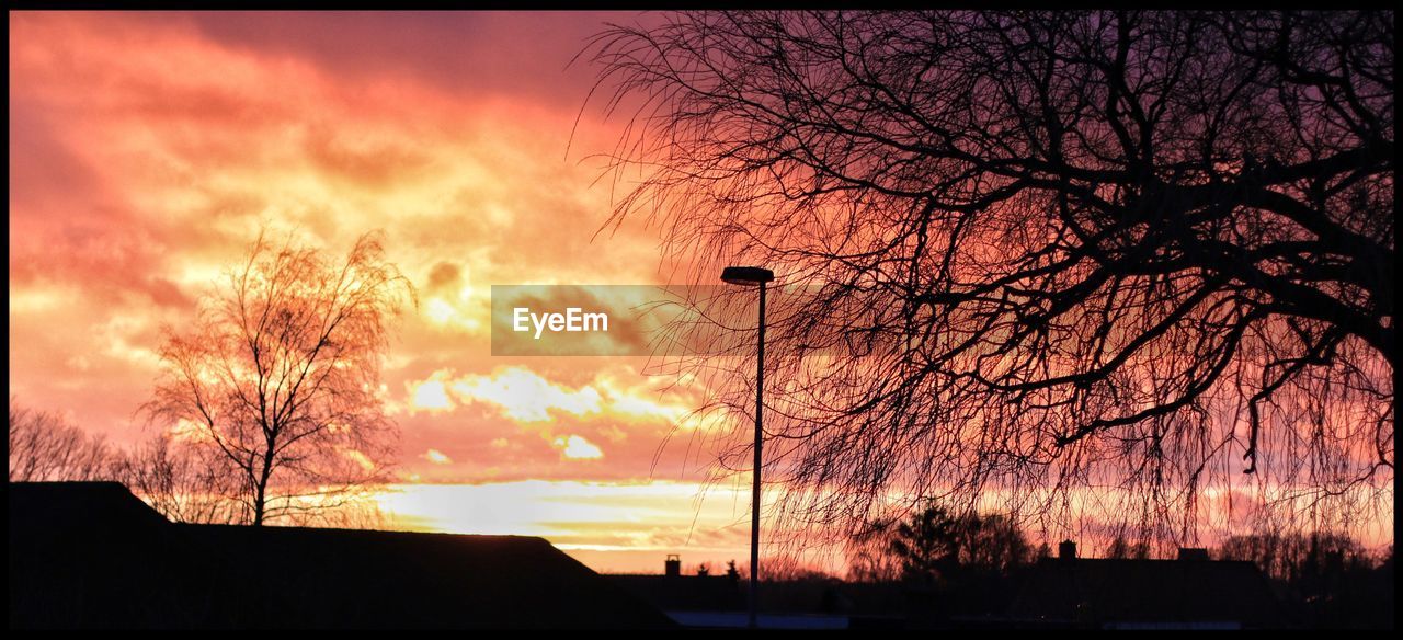 SILHOUETTE OF TREES AGAINST CLOUDY SKY AT SUNSET