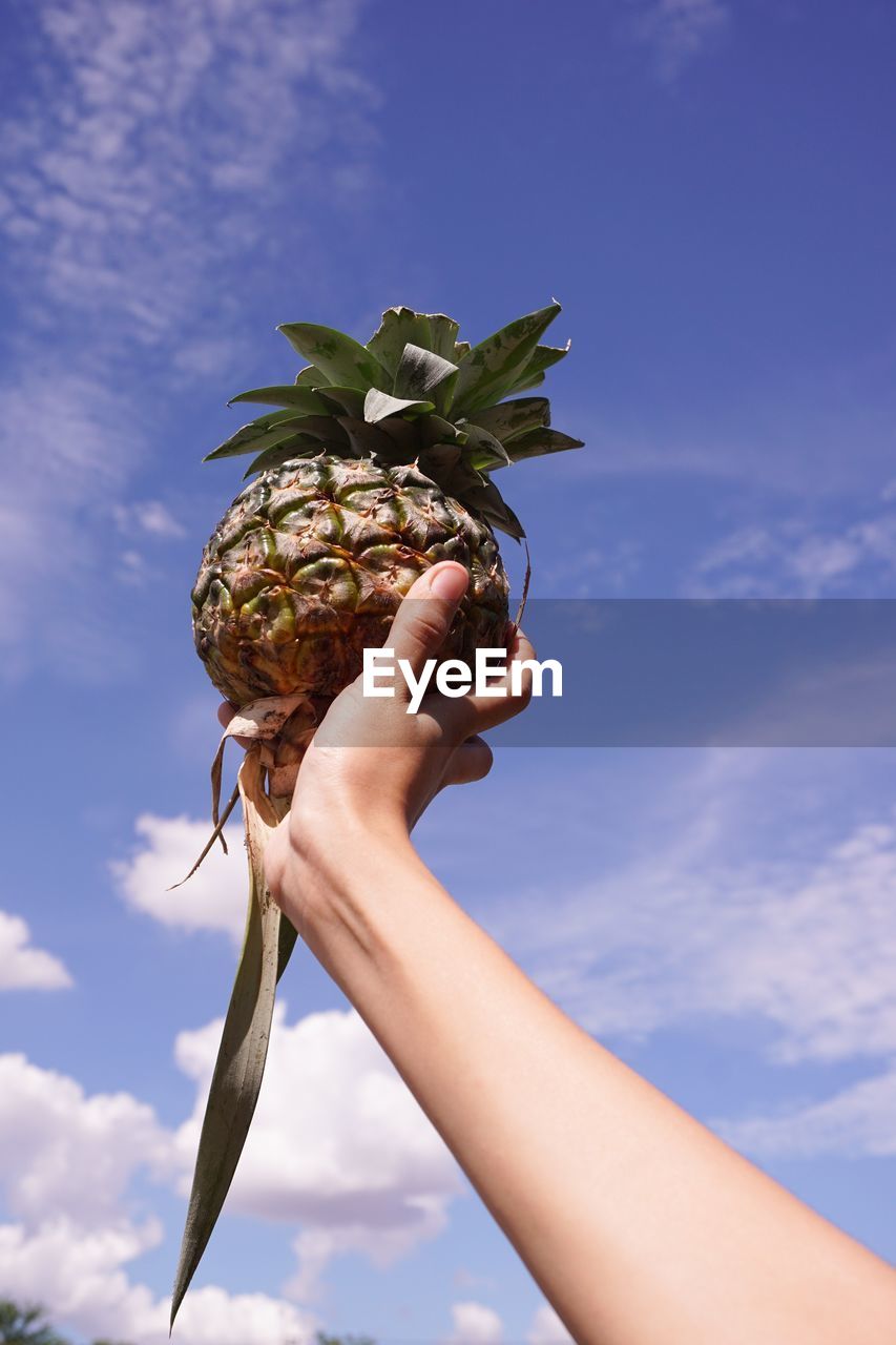 Cropped image of hand holding pineapple against blue sky