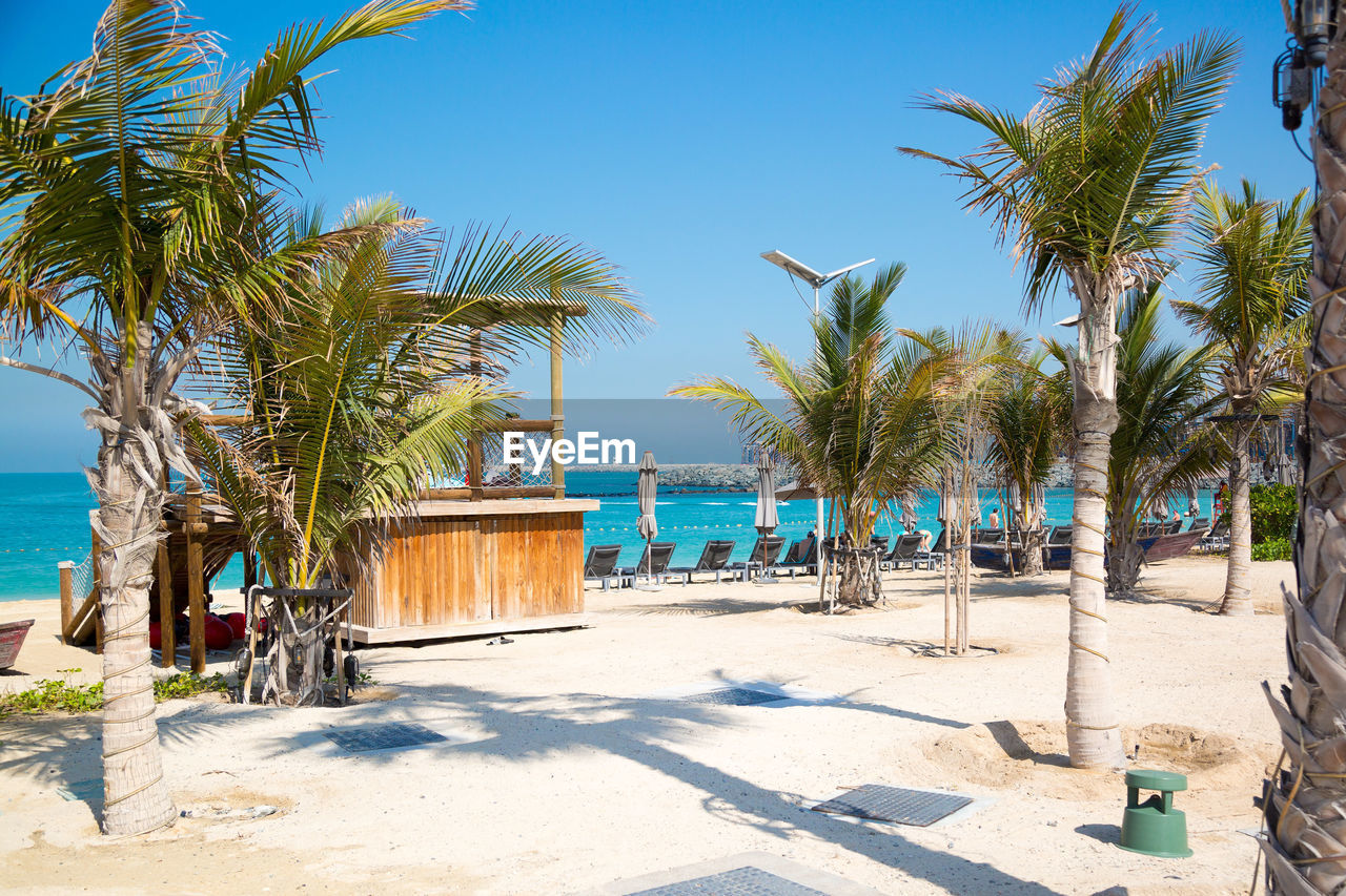 PALM TREES ON BEACH AGAINST SKY