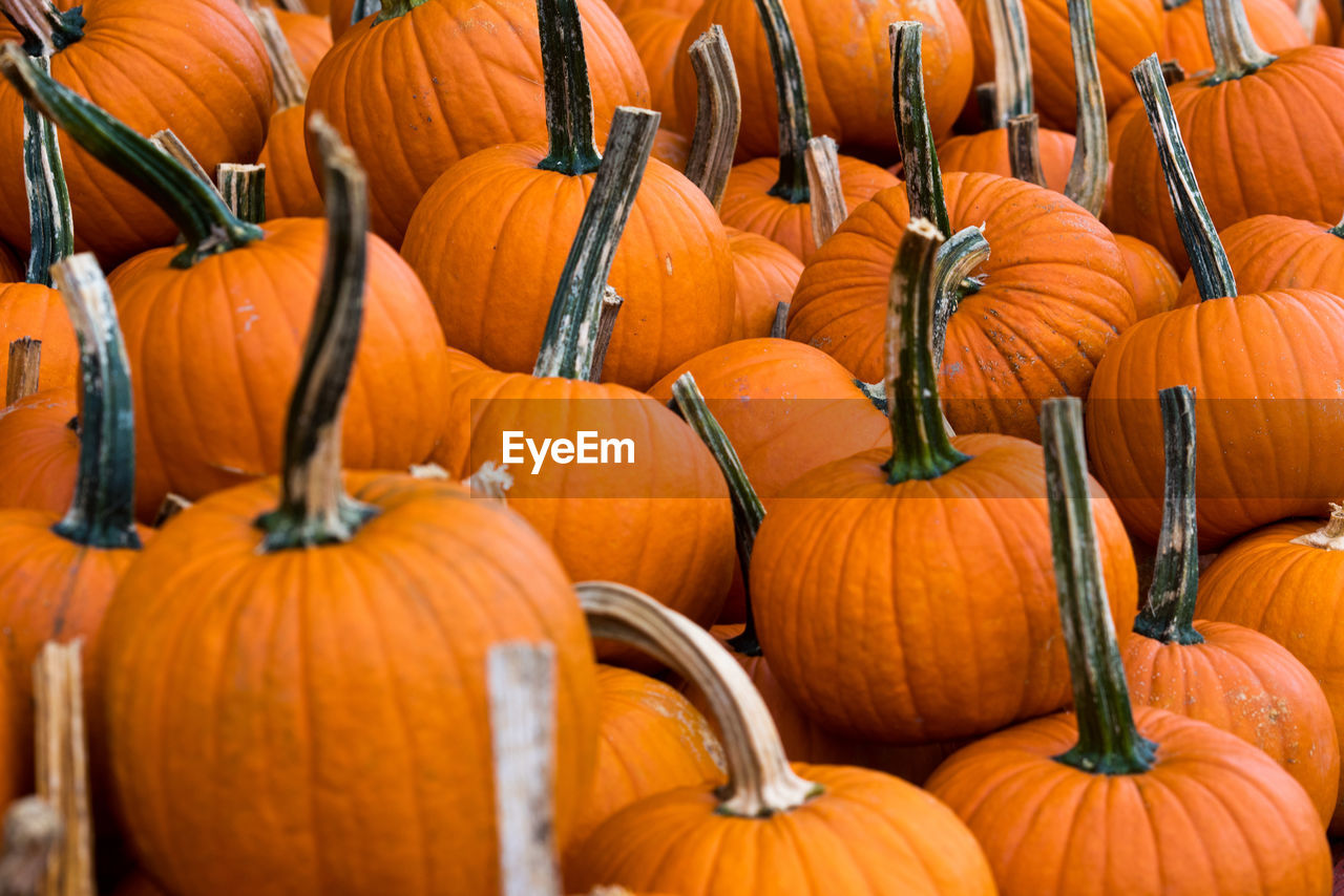 PUMPKINS IN MARKET STALL