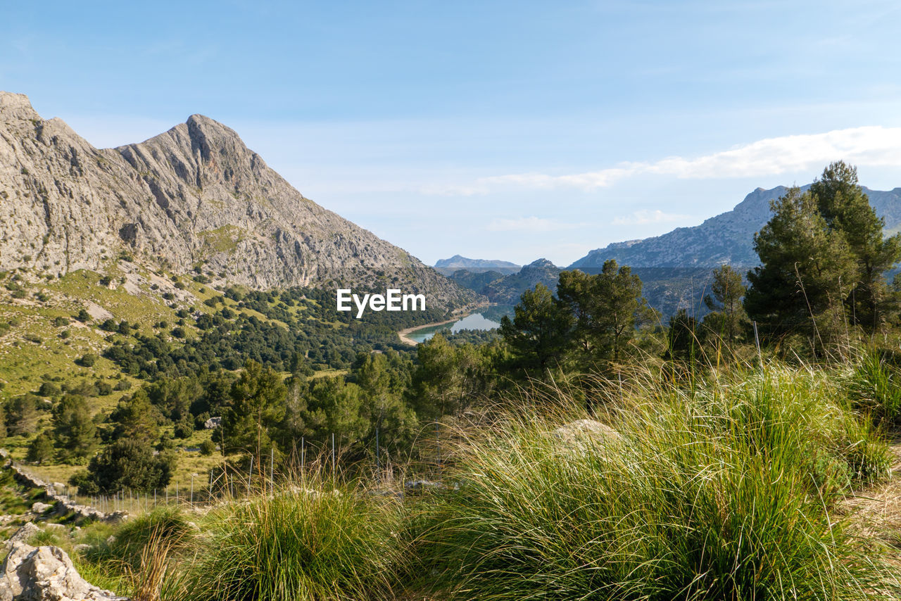 Hike on the trail gr221 through the serra de tramuntana with wonderful views of the cúber reservoir.