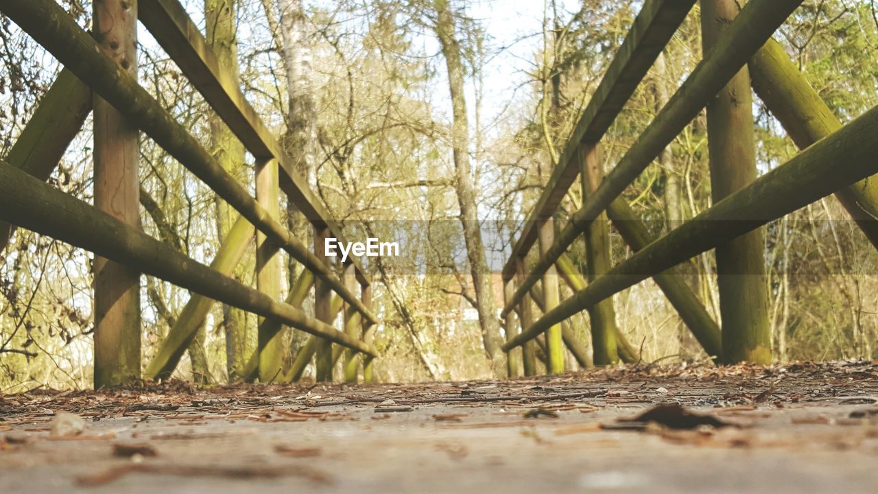 WOODEN ROAD IN FOREST