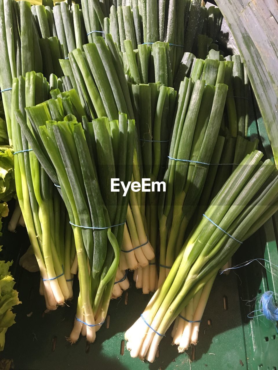 HIGH ANGLE VIEW OF VEGETABLES IN CONTAINER