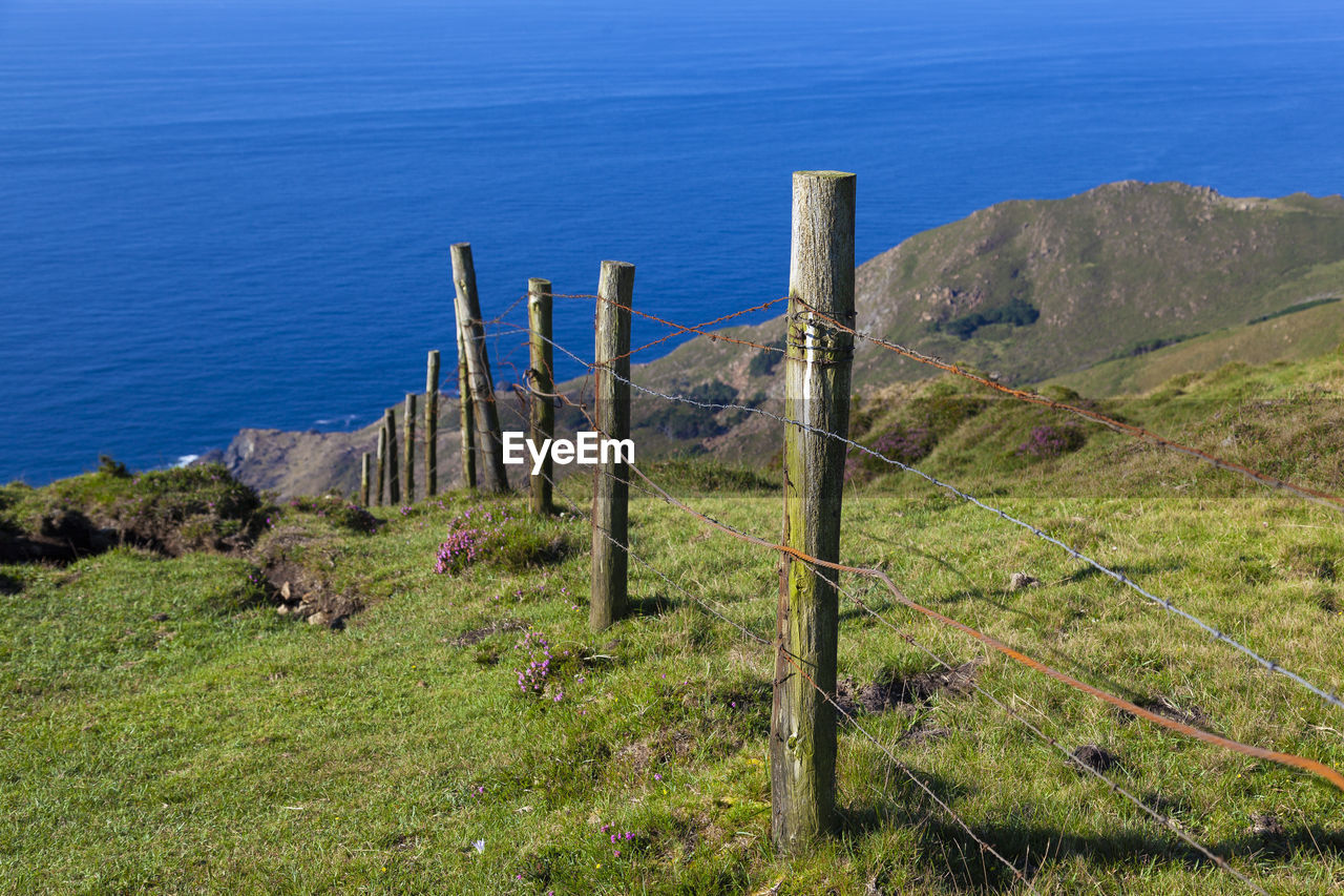 Wooden posts on field by sea