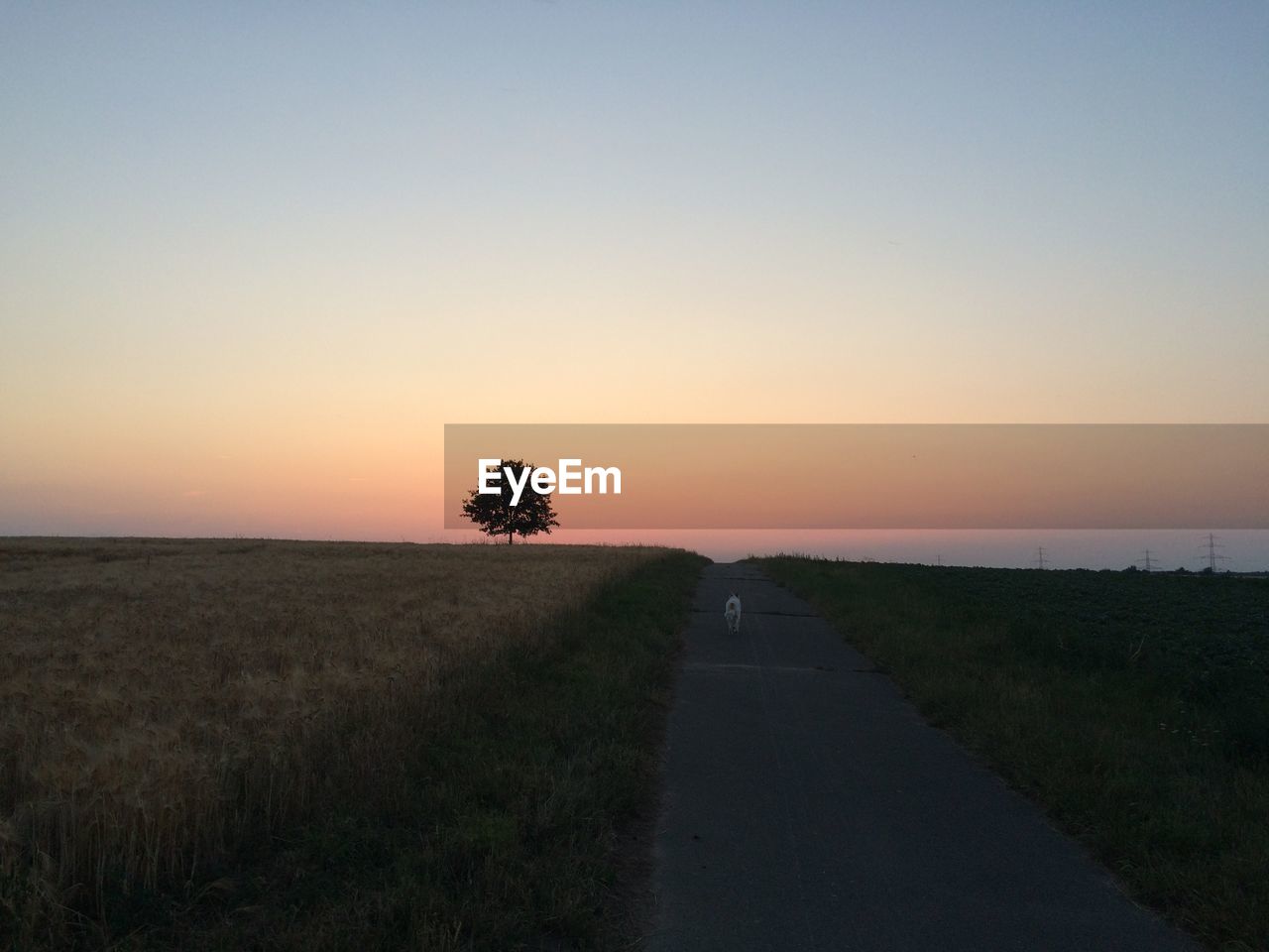 View of street amidst field against sky during sunset