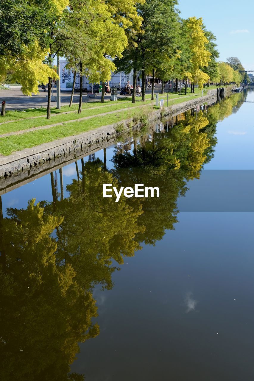 Reflection of trees in lake