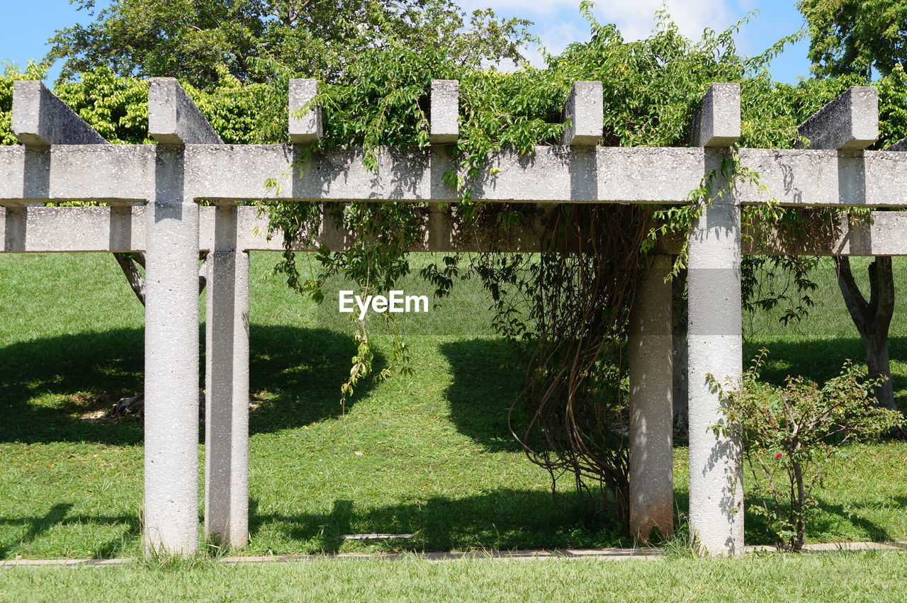 Plants growing on field by fence