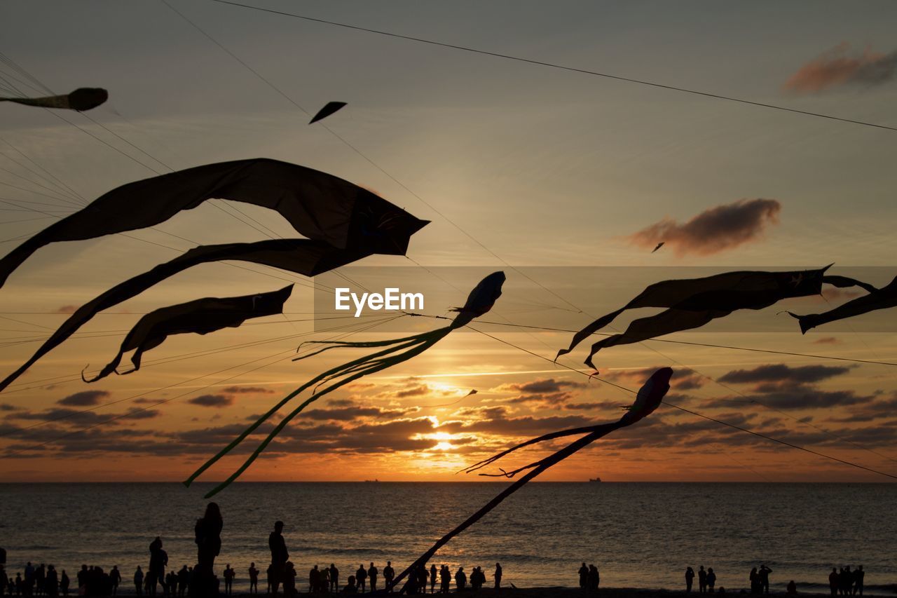 SILHOUETTE BIRDS FLYING OVER SEA DURING SUNSET