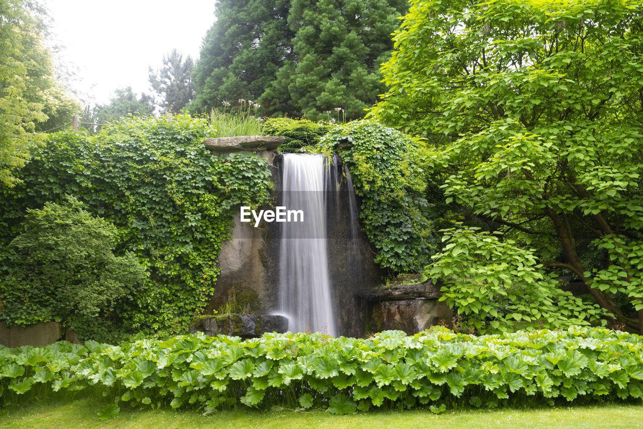 SCENIC VIEW OF WATERFALL AGAINST TREES