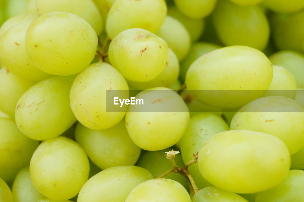 FULL FRAME SHOT OF FRUITS