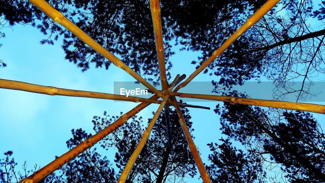 LOW ANGLE VIEW OF TREE AGAINST THE SKY