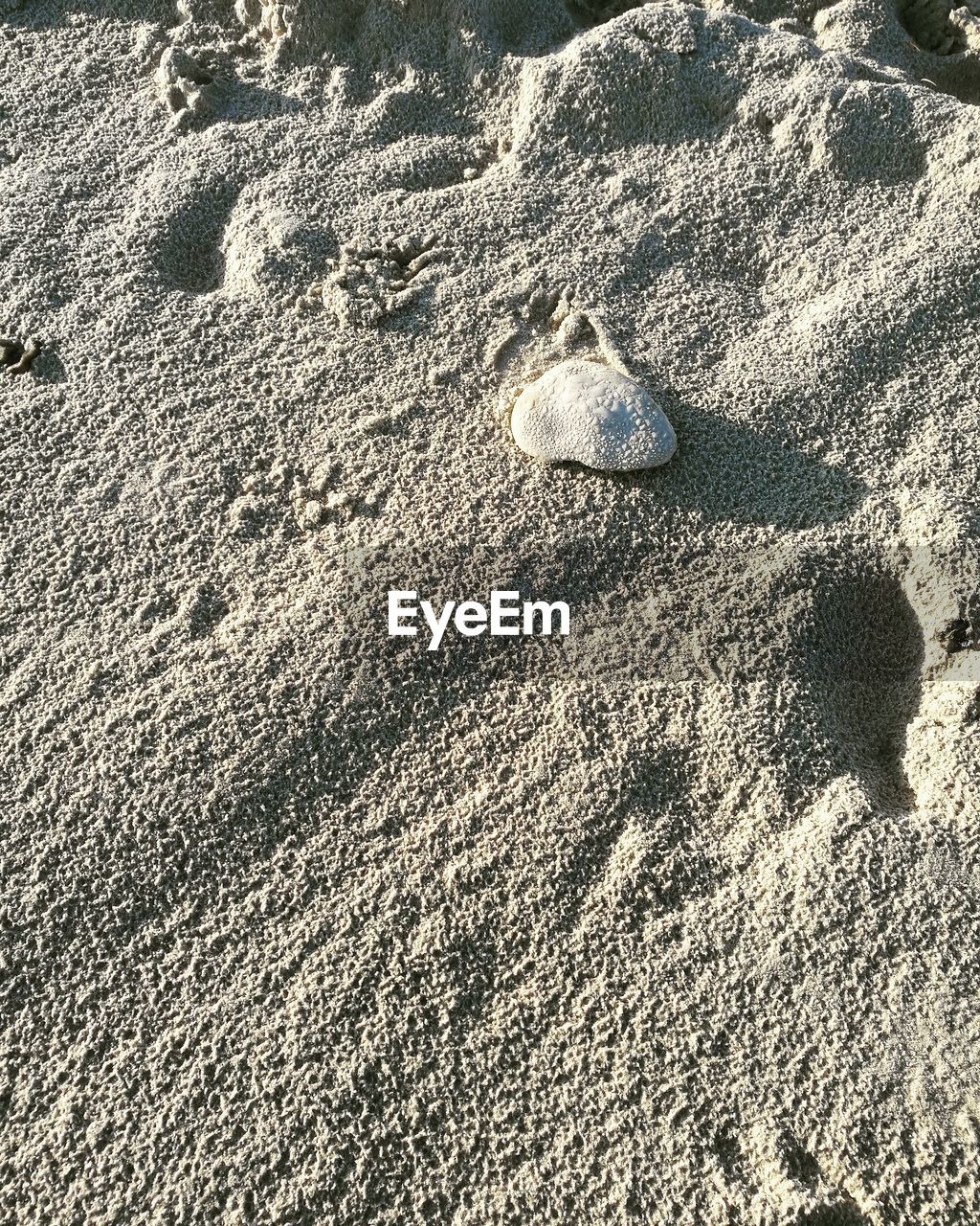 CLOSE-UP OF SHADOW ON SAND