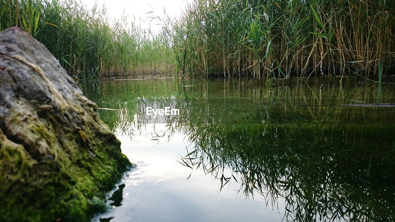 SCENIC VIEW OF LAKE